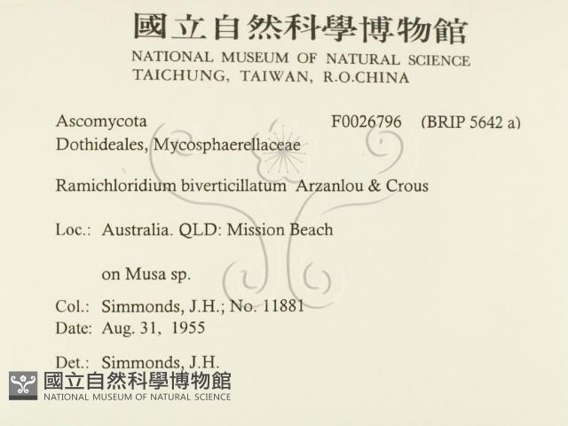 登錄號:F0026796藏品圖，第2張