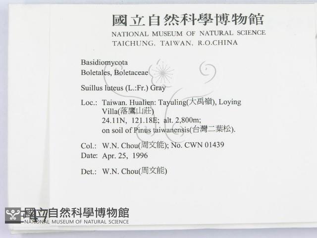 登錄號:F0004796藏品圖，第2張