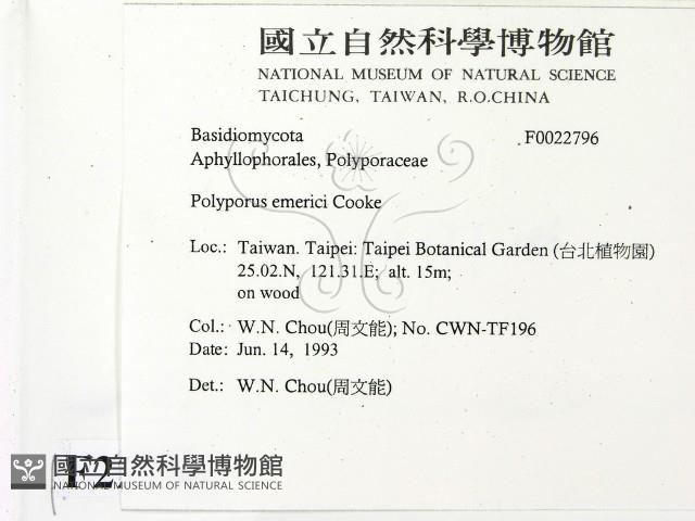 登錄號:F0022796藏品圖，第2張