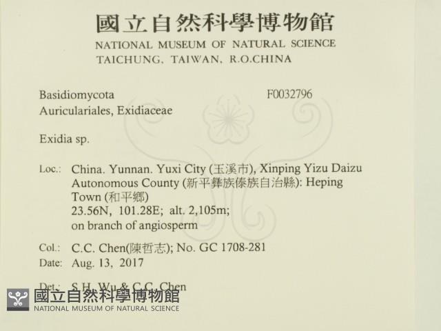 登錄號:F0032796藏品圖，第2張