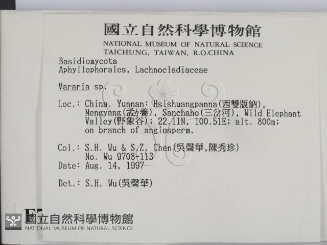 登錄號:F0007796藏品圖，第2張