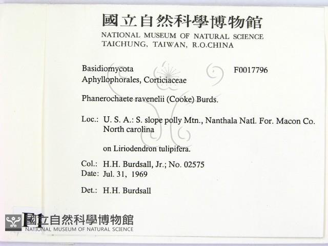 登錄號:F0017796藏品圖，第2張