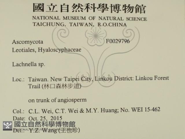 登錄號:F0029796藏品圖，第2張