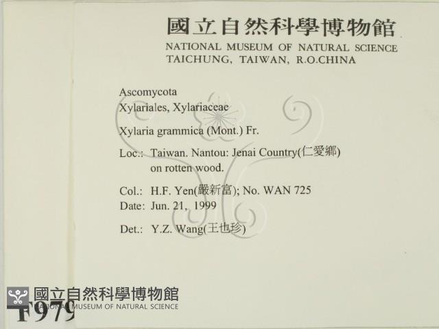 登錄號:F0009796藏品圖，第2張