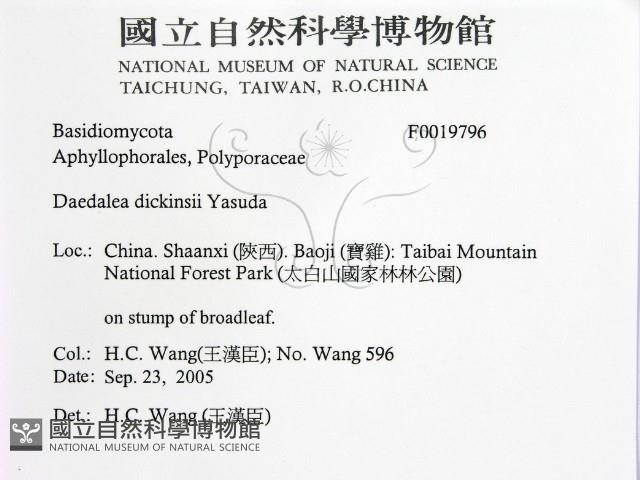登錄號:F0019796藏品圖，第2張