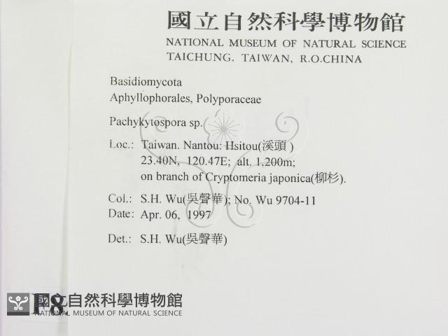 登錄號:F0008596藏品圖，第2張