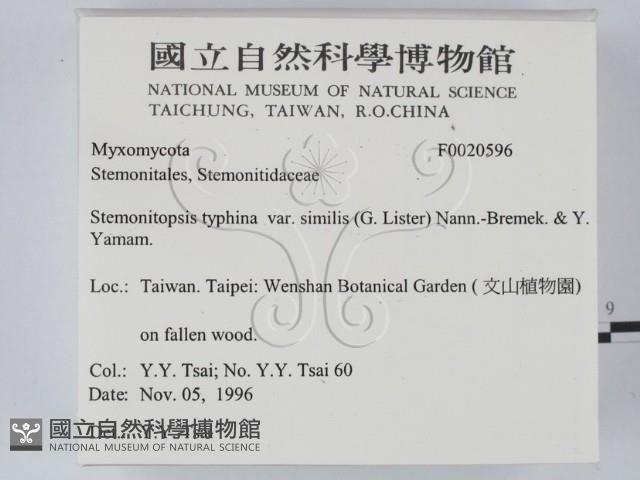 登錄號:F0020596藏品圖，第2張