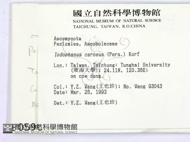 登錄號:F0000596藏品圖，第2張