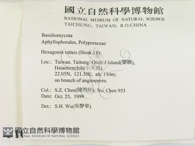 登錄號:F0010596藏品圖，第2張