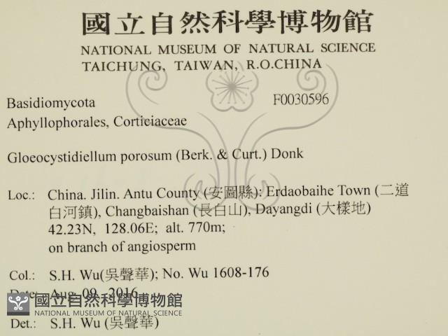 登錄號:F0030596藏品圖，第2張