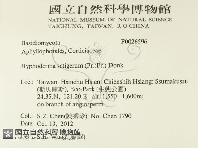 剛毛絲皮菌藏品圖，第2張