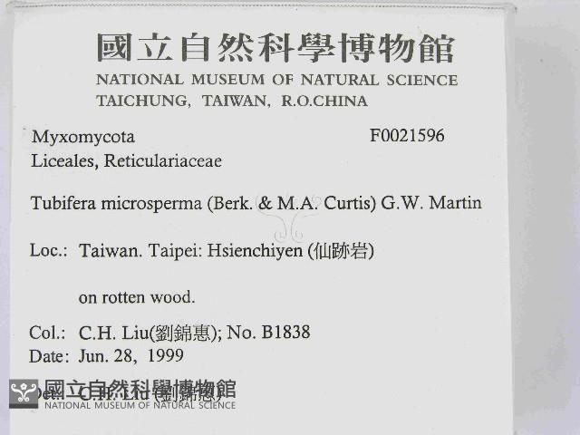 登錄號:F0021596藏品圖，第2張