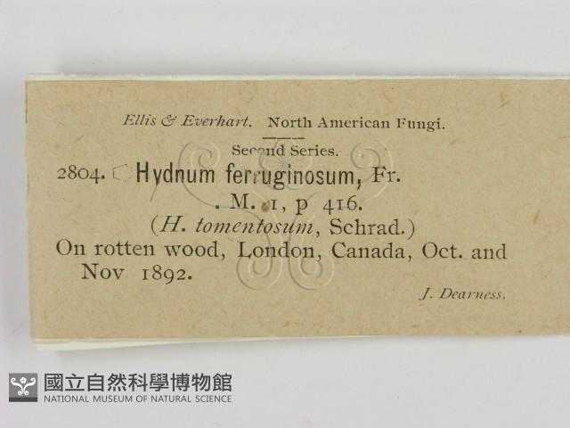 登錄號:F0011596藏品圖，第2張