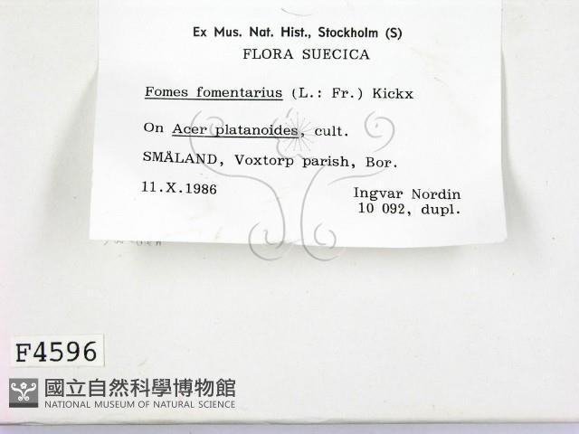 登錄號:F0004596藏品圖，第2張