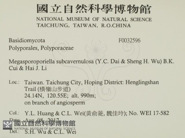 登錄號:F0032596藏品圖，第2張
