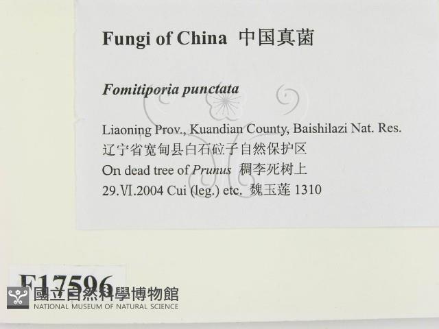 登錄號:F0017596藏品圖，第2張