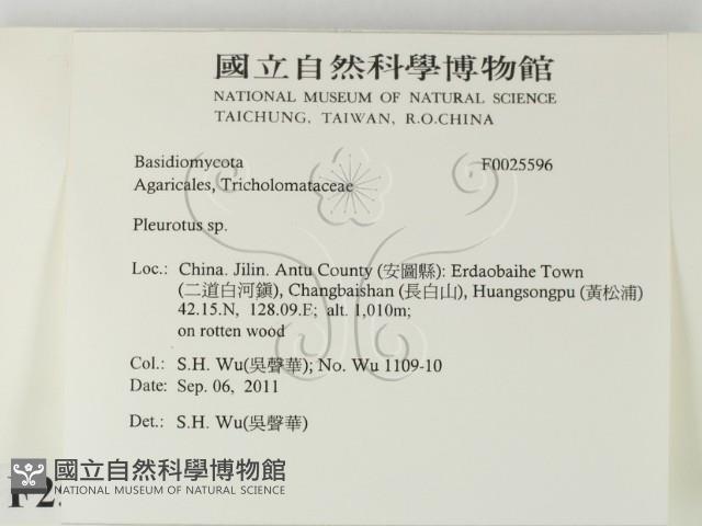 登錄號:F0025596藏品圖，第2張