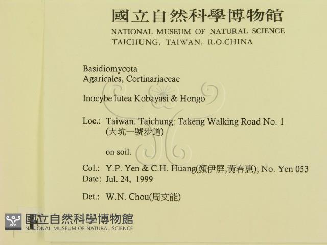 登錄號:F0015596藏品圖，第2張