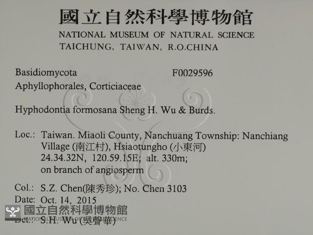 登錄號:F0029596藏品圖，第2張