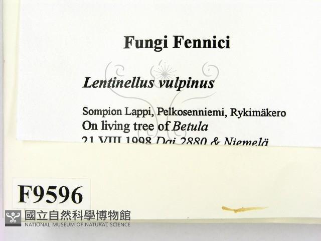 登錄號:F0009596藏品圖，第2張