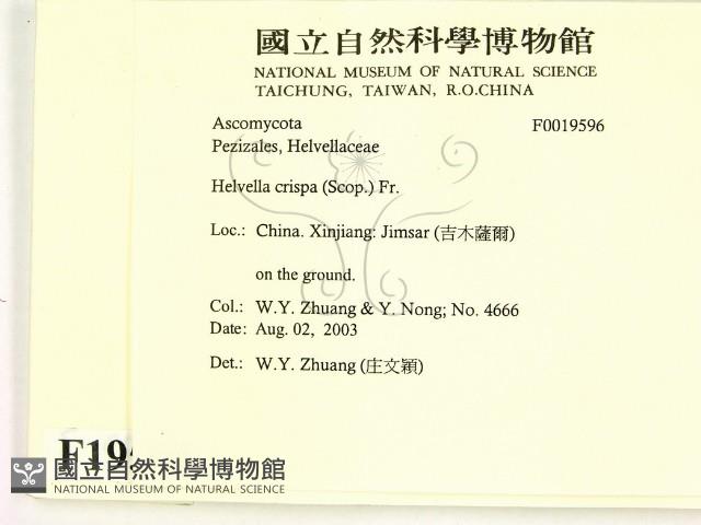 登錄號:F0019596藏品圖，第2張