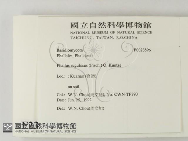 登錄號:F0023596藏品圖，第2張