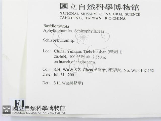 登錄號:F0013596藏品圖，第2張