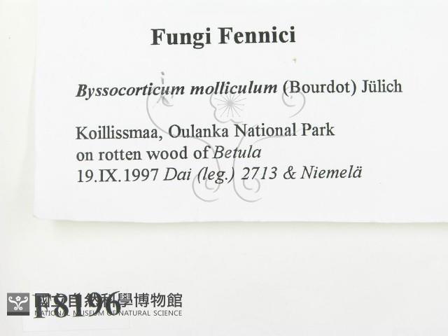 登錄號:F0008196藏品圖，第2張