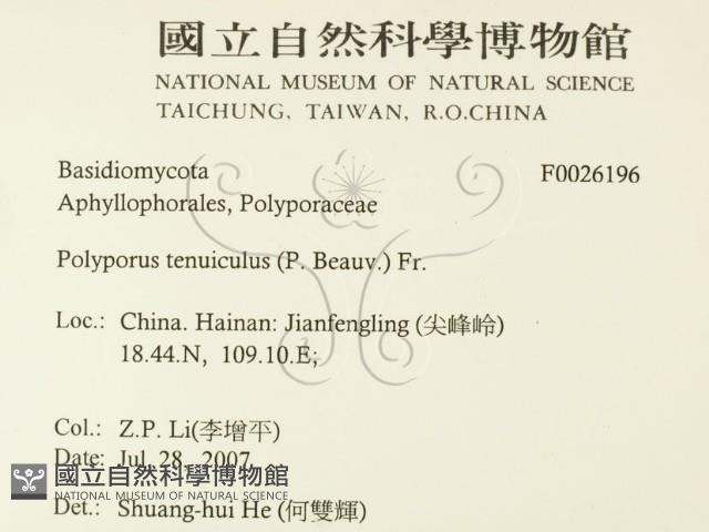 登錄號:F0026196藏品圖，第2張