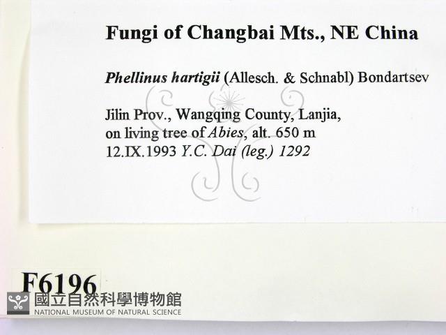 登錄號:F0006196藏品圖，第2張