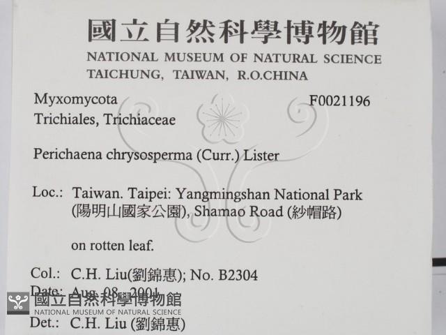 登錄號:F0021196藏品圖，第2張