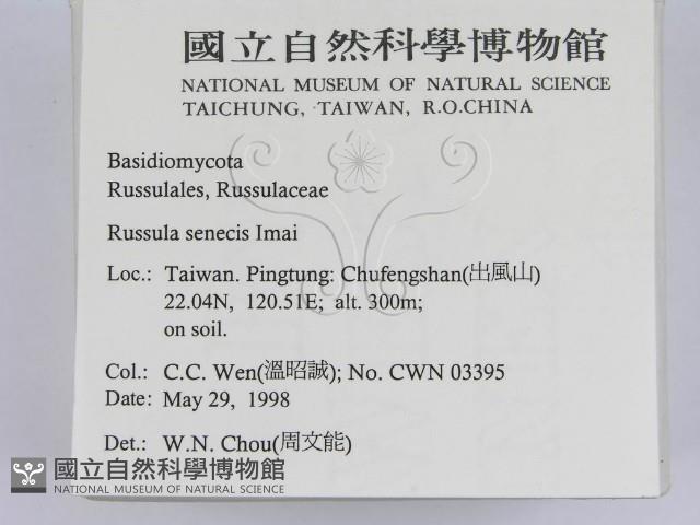 登錄號:F0011196藏品圖，第2張