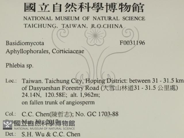 登錄號:F0031196藏品圖，第2張