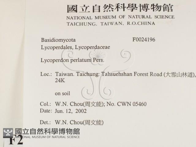 登錄號:F0024196藏品圖，第2張