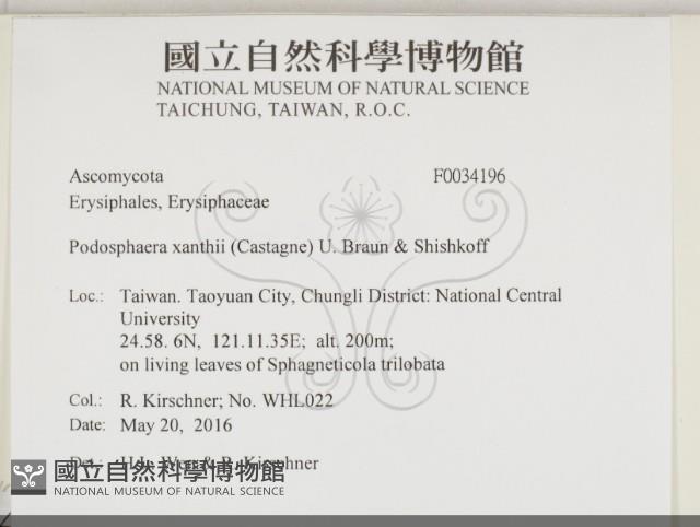 登錄號:F0034196藏品圖，第2張