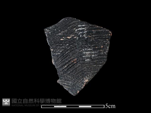 陶片藏品圖，第1張