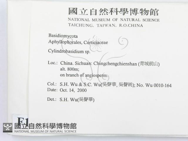 登錄號:F0012196藏品圖，第2張