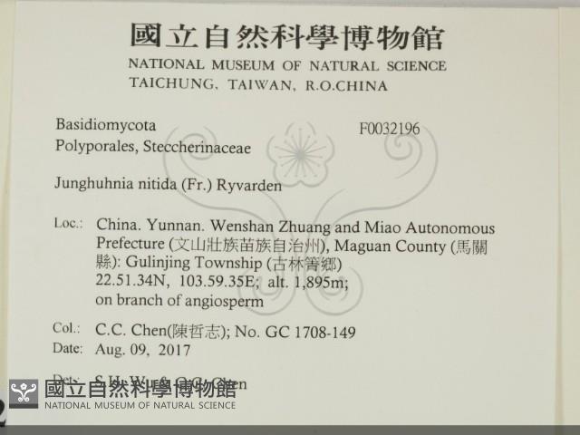 登錄號:F0032196藏品圖，第2張