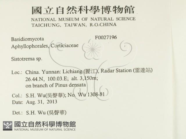 登錄號:F0027196藏品圖，第2張