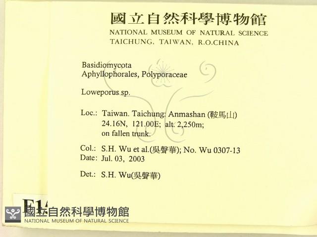 登錄號:F0015196藏品圖，第2張