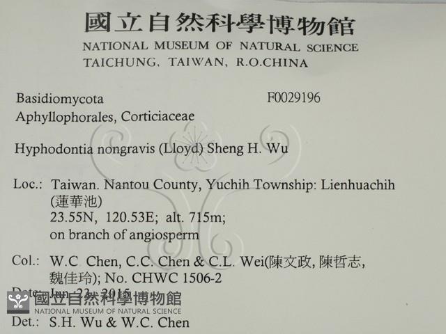 登錄號:F0029196藏品圖，第2張