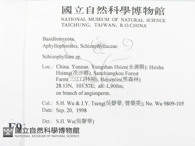 登錄號:F0009196藏品圖，第2張