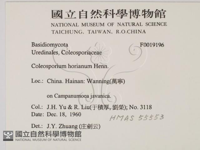 登錄號:F0019196藏品圖，第2張
