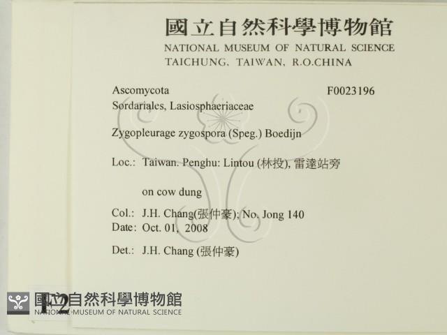 登錄號:F0023196藏品圖，第2張