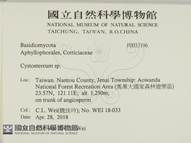 登錄號:F0033196藏品圖，第2張