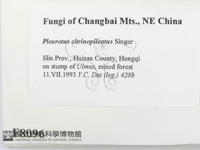 登錄號:F0008096藏品圖，第2張