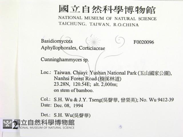 登錄號:F0020096藏品圖，第2張
