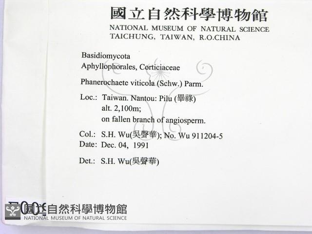 登錄號:F0000096藏品圖，第2張