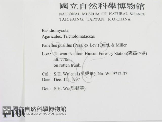 登錄號:F0010096藏品圖，第2張