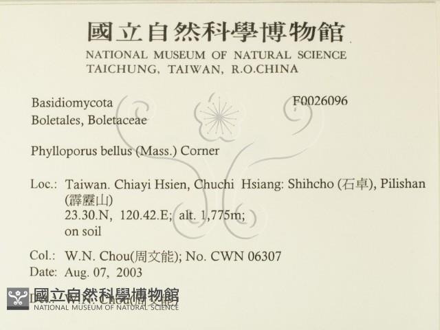 登錄號:F0026096藏品圖，第2張